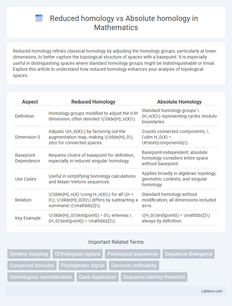 Absolute homology vs Reduced homology in Mathematics - What is The Difference?