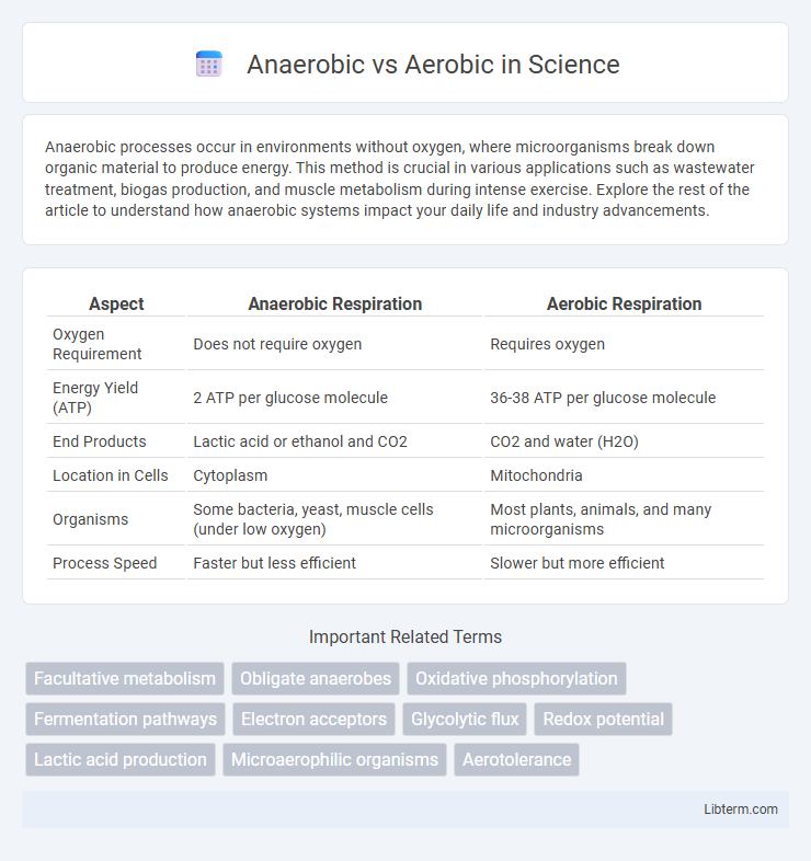 Aerobic vs Anaerobic in Science - What is The Difference?