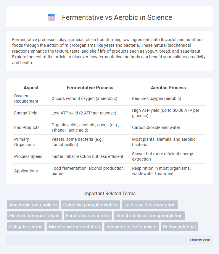 Aerobic vs Fermentative in Science - What is The Difference?