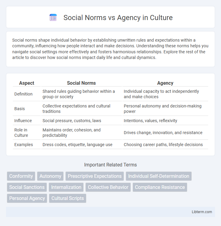 Agency vs Social Norms in Culture - What is The Difference?