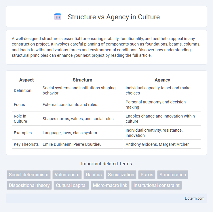 Agency vs Structure in Culture - What is The Difference?