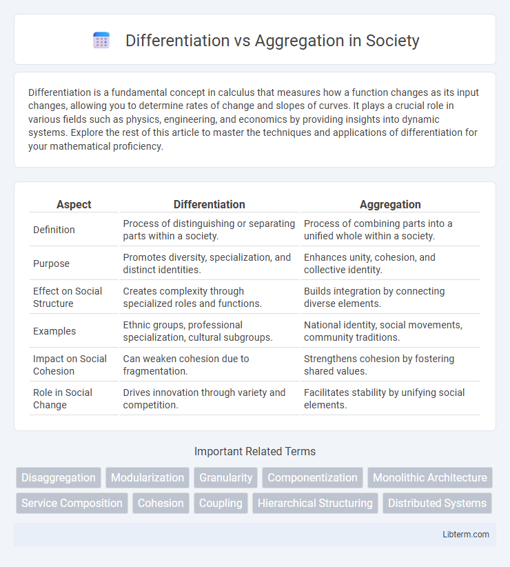 Aggregation vs Differentiation in Society - What is The Difference?