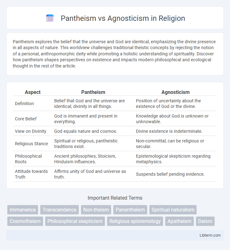 Agnosticism vs Pantheism in Religion - What is The Difference?