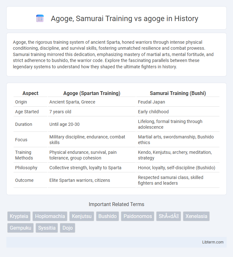 agoge vs Agoge, Samurai Training in History - What is The Difference?