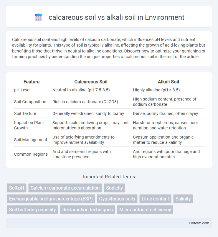alkali soil vs calcareous soil in Environment - What is The Difference?