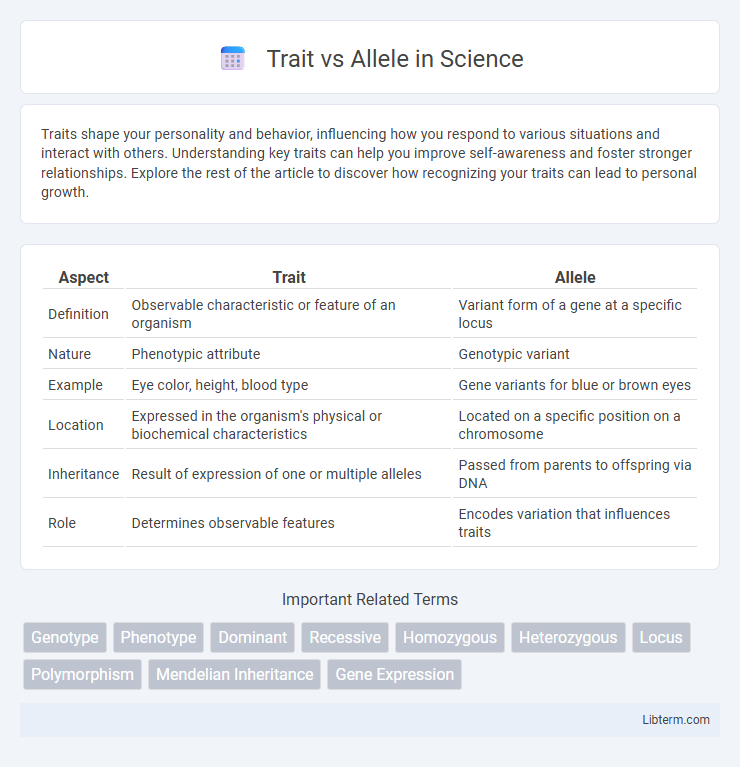 Allele vs Trait in Science - What is The Difference?