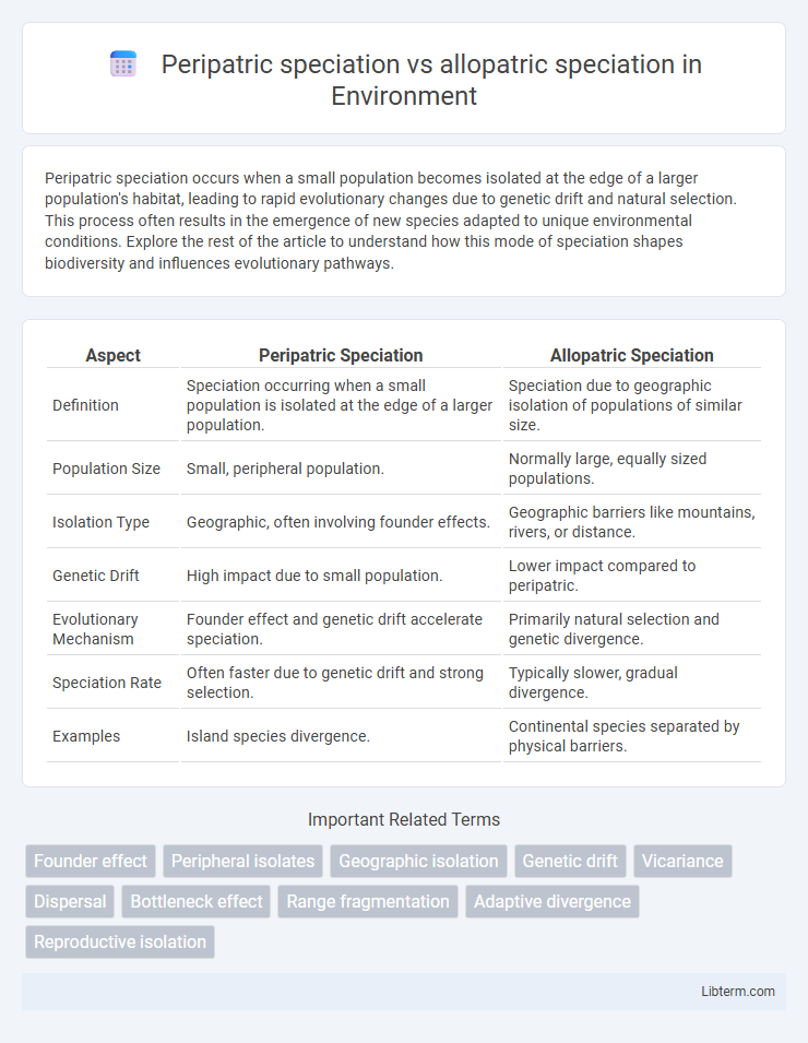 allopatric speciation vs Peripatric speciation in Environment - What is The Difference?