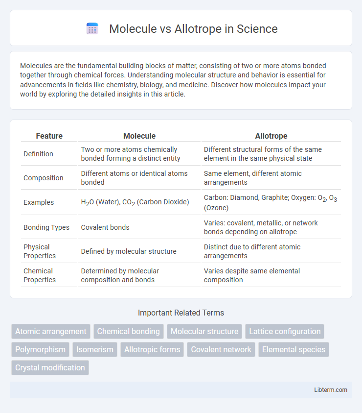 Allotrope vs Molecule in Science - What is The Difference?