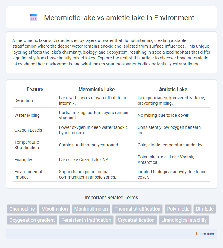 amictic lake vs Meromictic lake in Environment - What is The Difference?