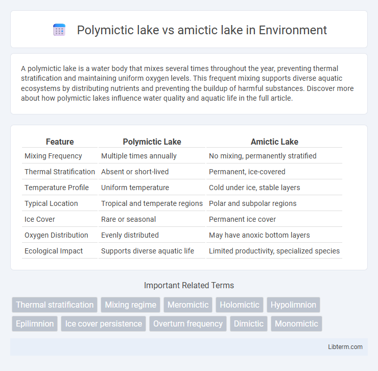 amictic lake vs Polymictic lake in Environment - What is The Difference?