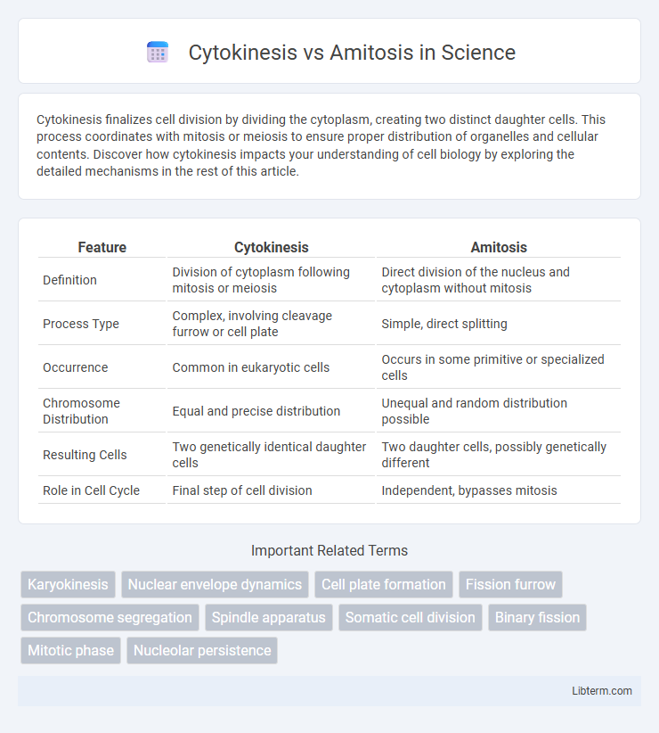 Amitosis vs Cytokinesis in Science - What is The Difference?