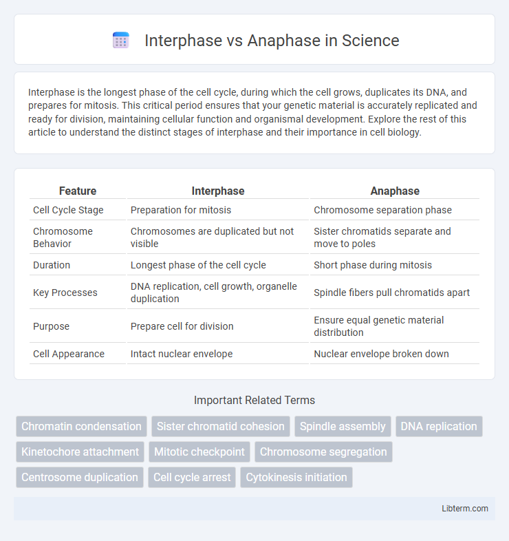 Anaphase vs Interphase in Science - What is The Difference?