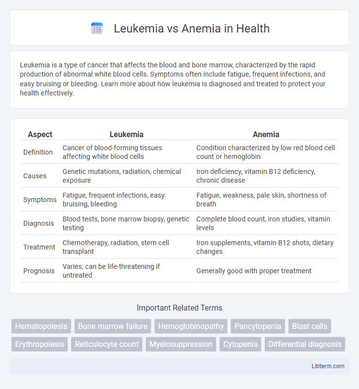 Anemia vs Leukemia in Health - What is The Difference?