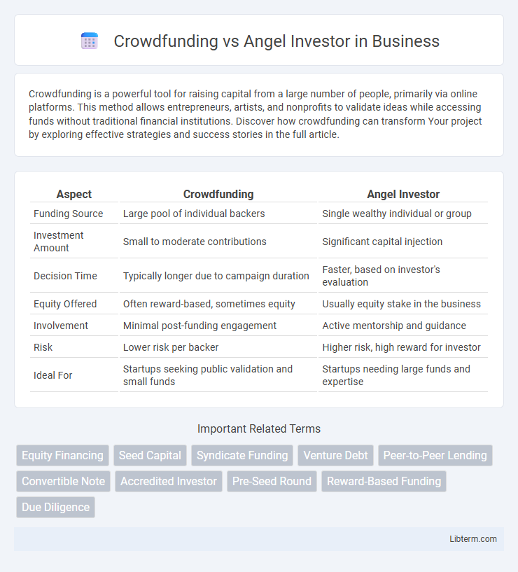 Angel Investor vs Crowdfunding in Business - What is The Difference?