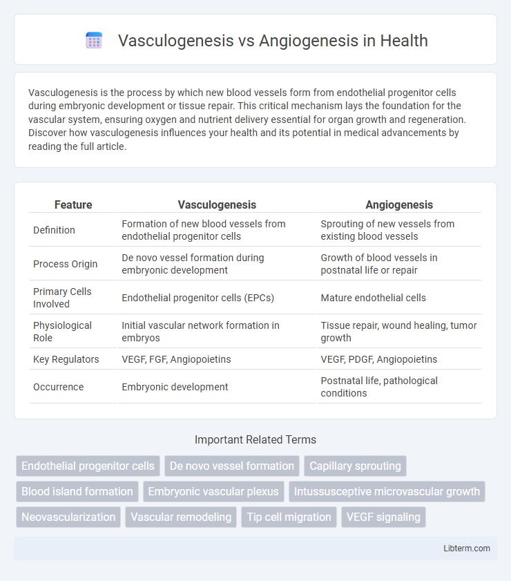 Angiogenesis vs Vasculogenesis in Health - What is The Difference?