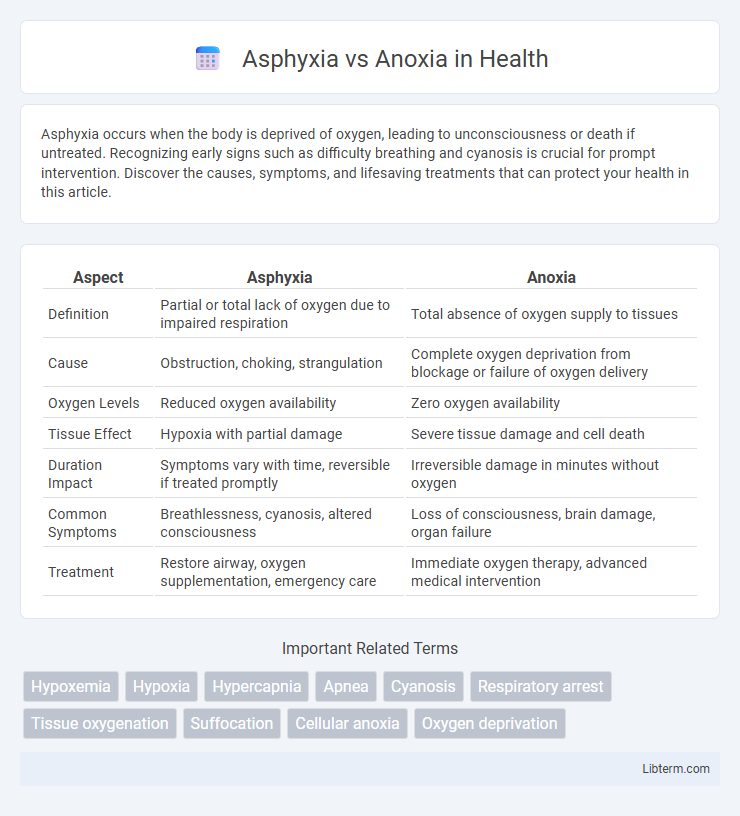 Anoxia vs Asphyxia in Health - What is The Difference?