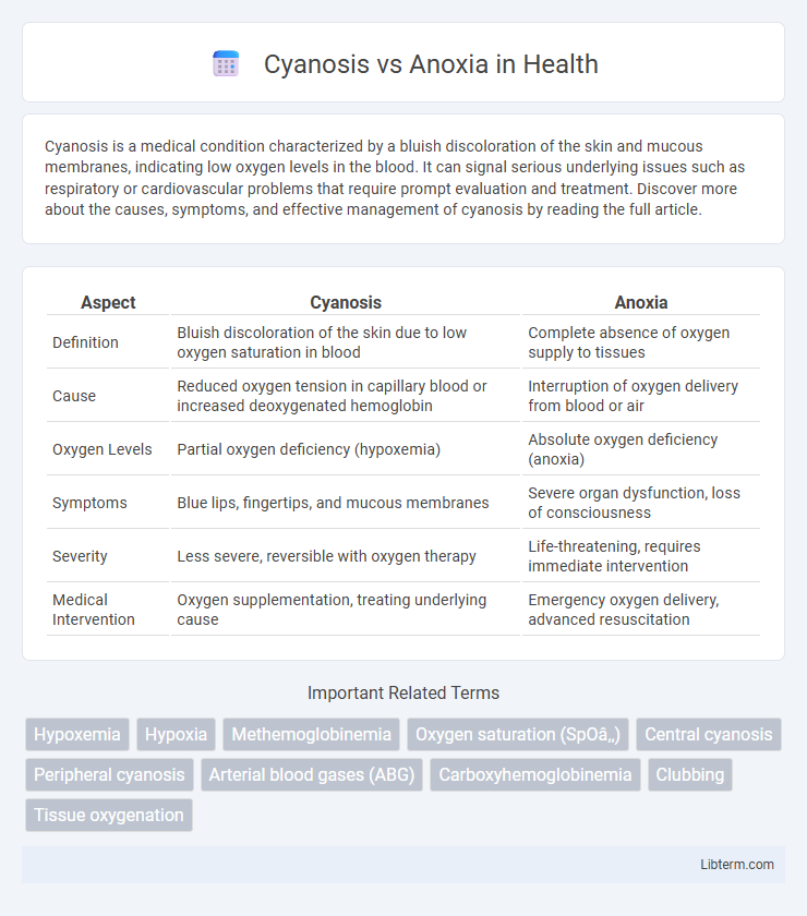 Anoxia vs Cyanosis in Health - What is The Difference?
