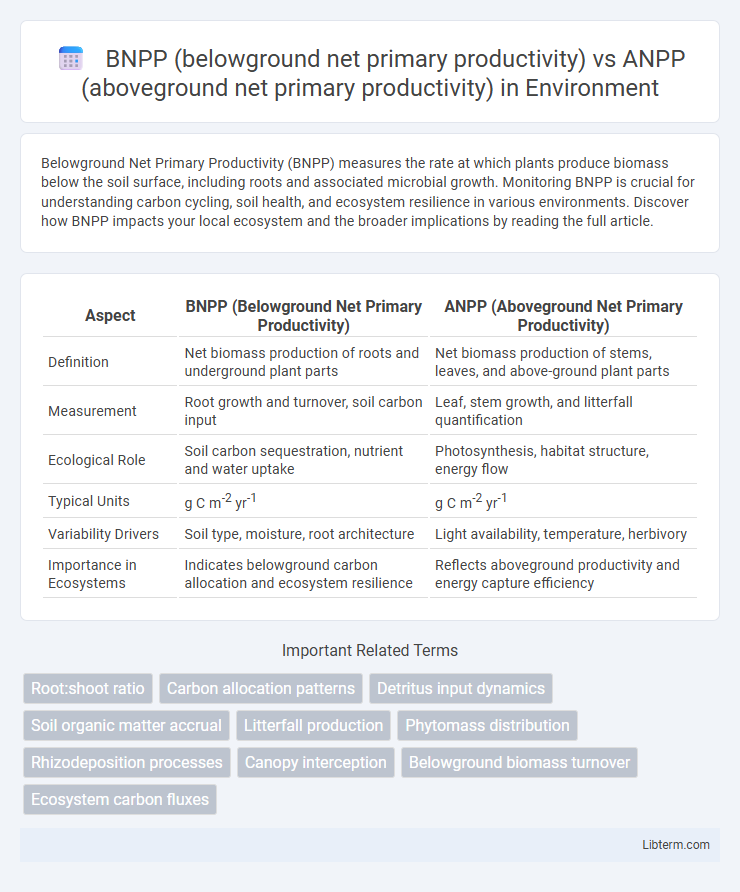 ANPP (aboveground net primary productivity) vs BNPP (belowground net primary productivity) in Environment - What is The Difference?