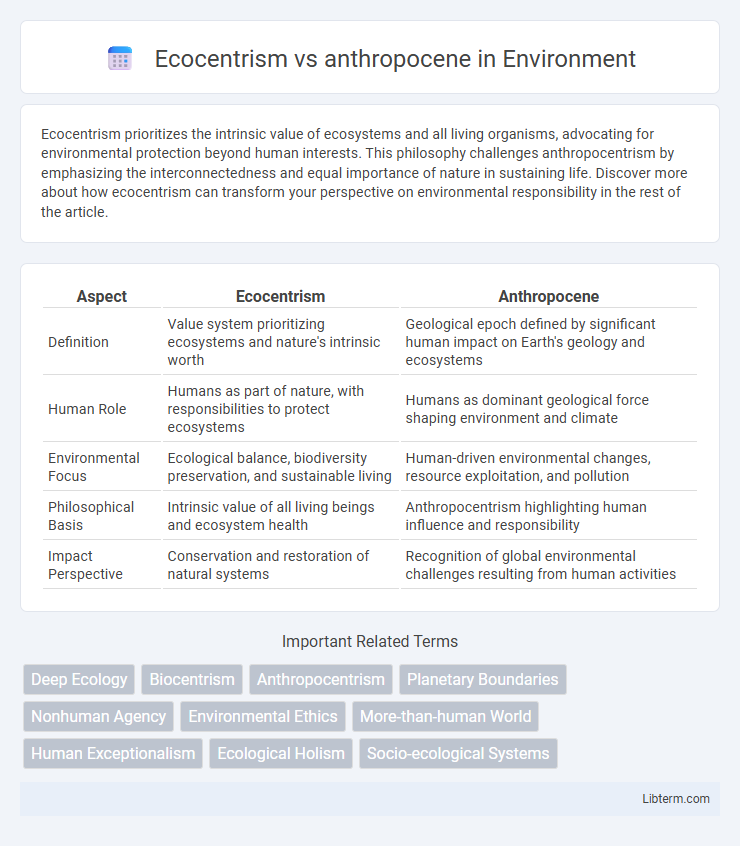 anthropocene vs Ecocentrism in Environment - What is The Difference?
