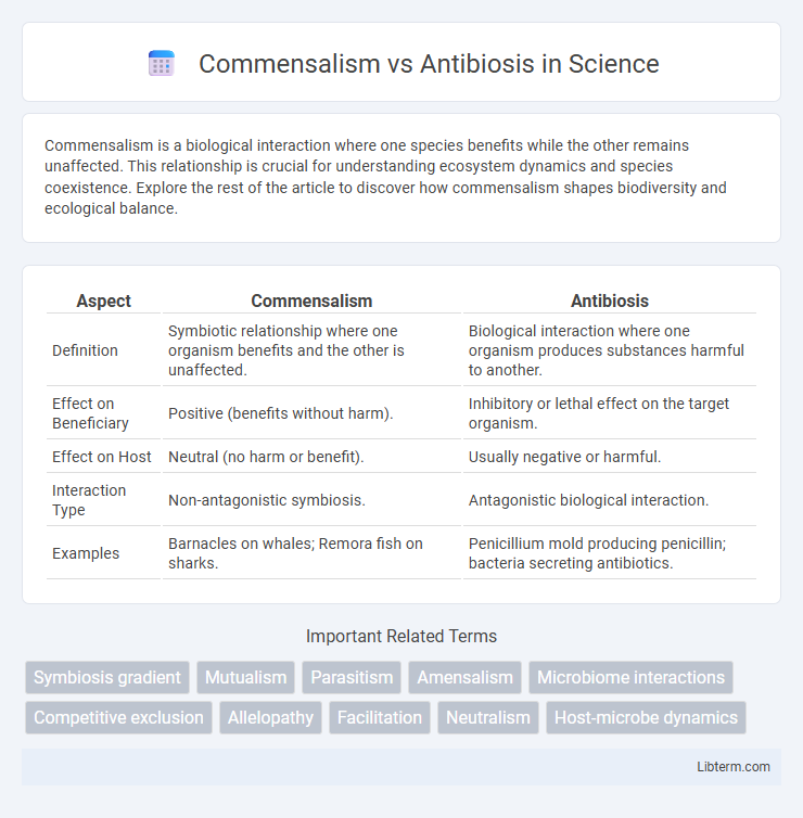 Antibiosis vs Commensalism in Science - What is The Difference?