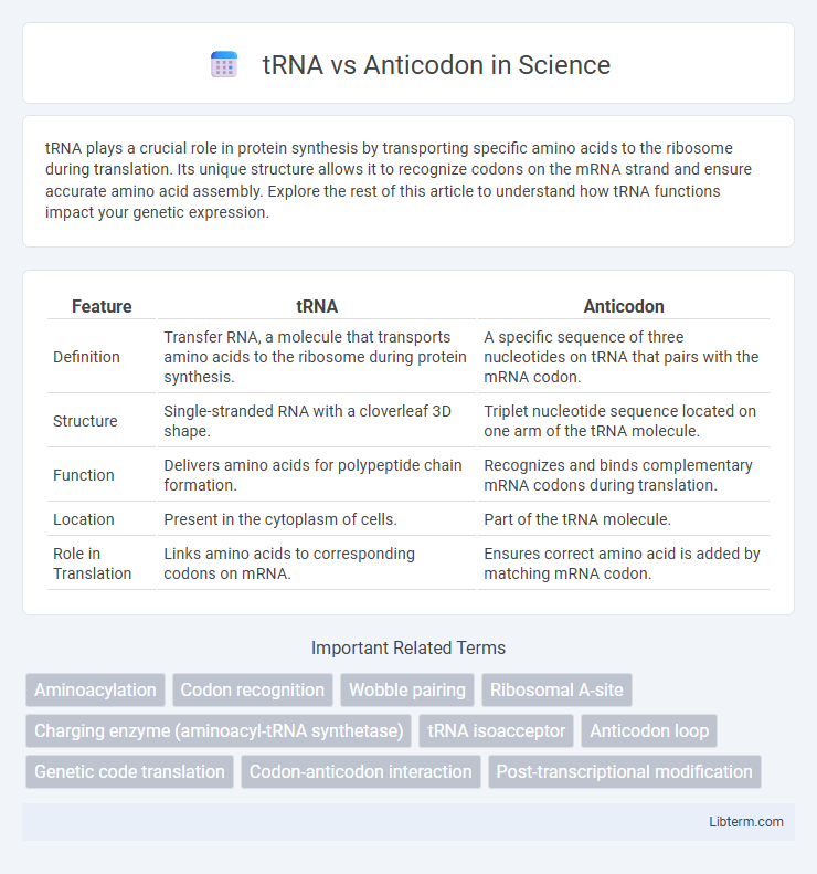 Anticodon vs tRNA in Science - What is The Difference?