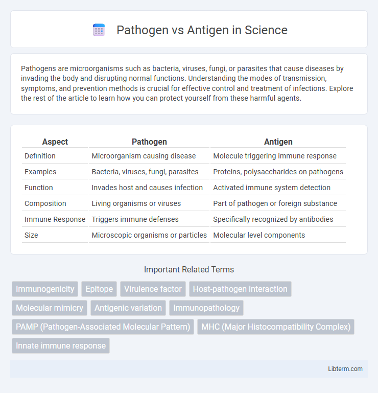 Antigen vs Pathogen in Science - What is The Difference?