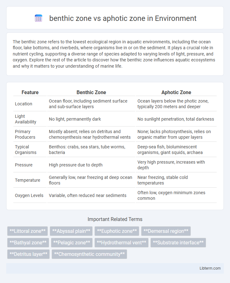 aphotic zone vs benthic zone in Environment - What is The Difference?