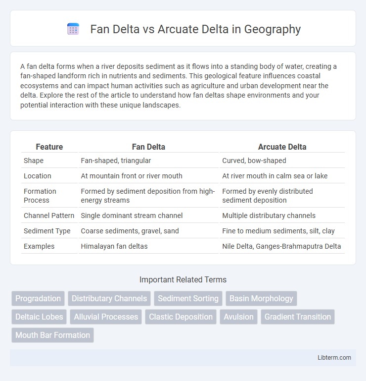 Arcuate Delta vs Fan Delta in Geography - What is The Difference?