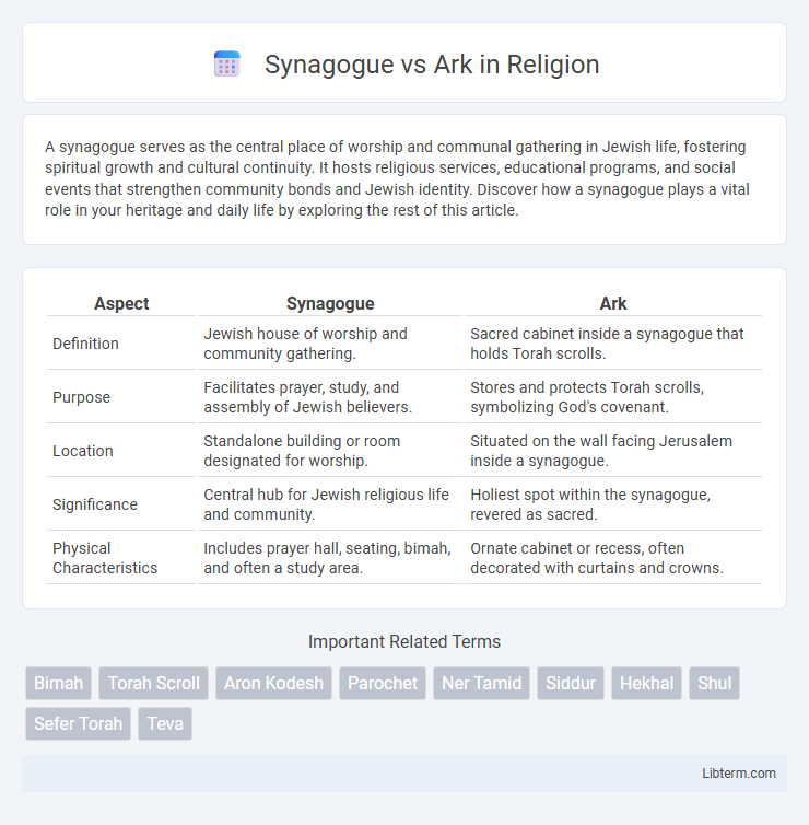 Ark vs Synagogue in Religion - What is The Difference?
