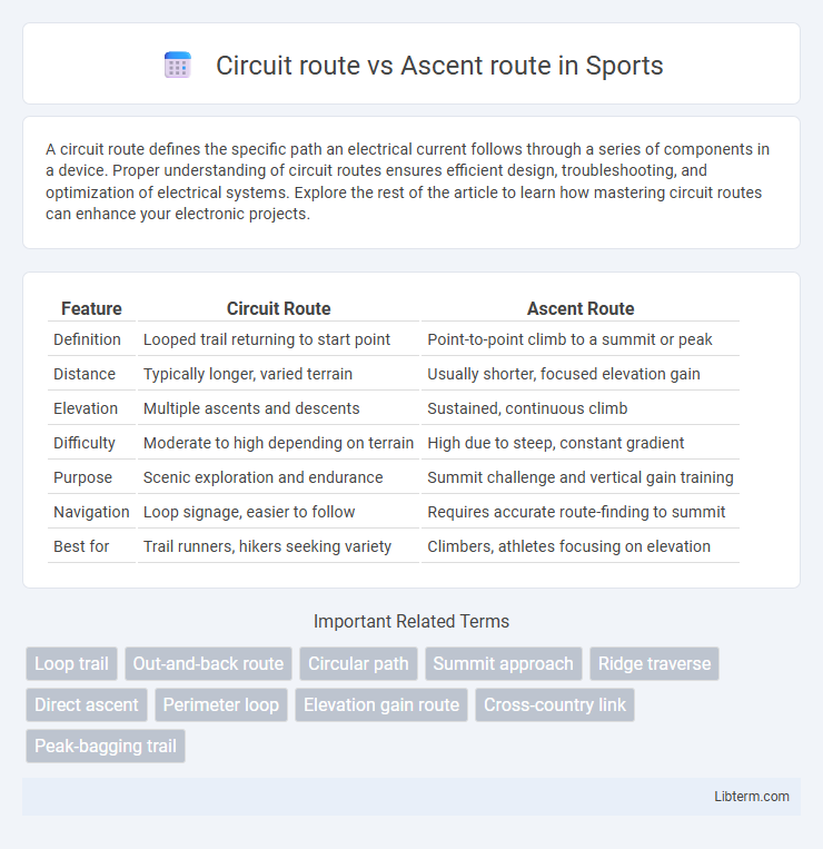 Ascent route vs Circuit route in Sports - What is The Difference?