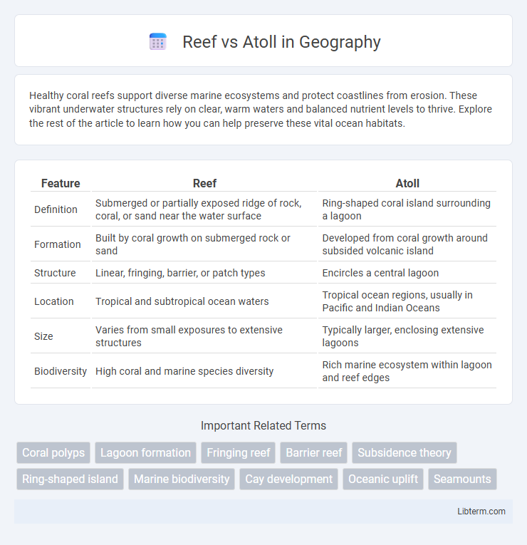 Atoll vs Reef in Geography - What is The Difference?