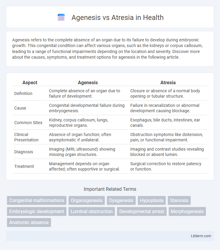 Atresia vs Agenesis in Health - What is The Difference?