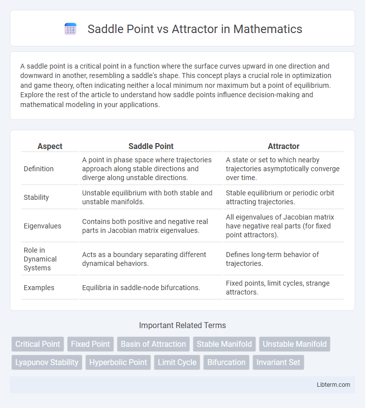 Attractor vs Saddle Point in Mathematics - What is The Difference?