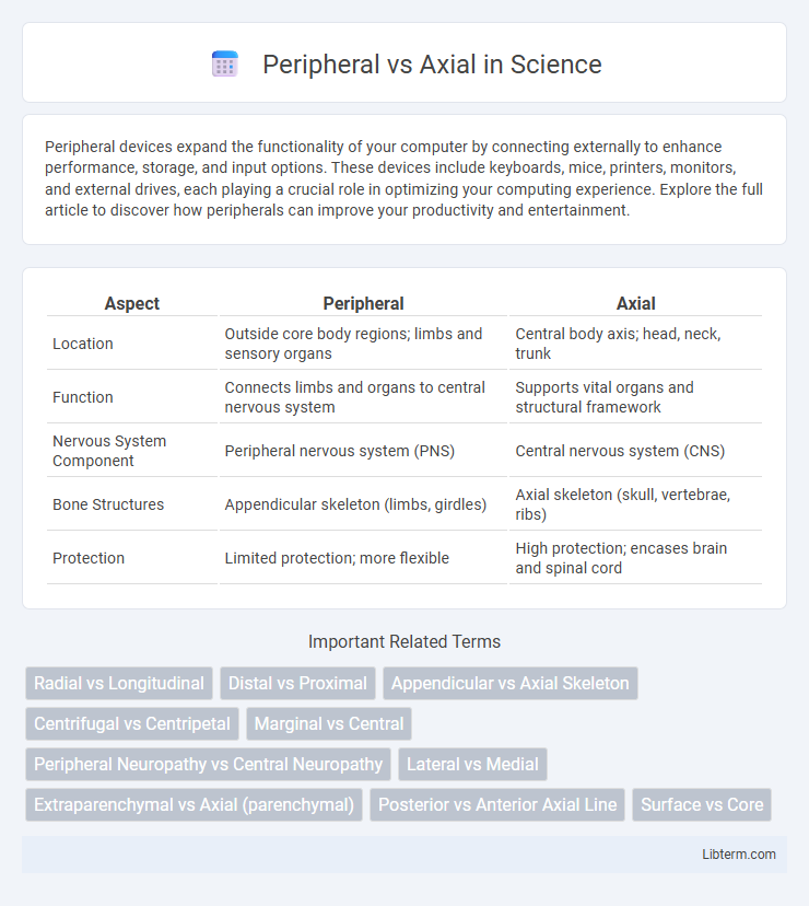 Axial vs Peripheral in Science - What is The Difference?
