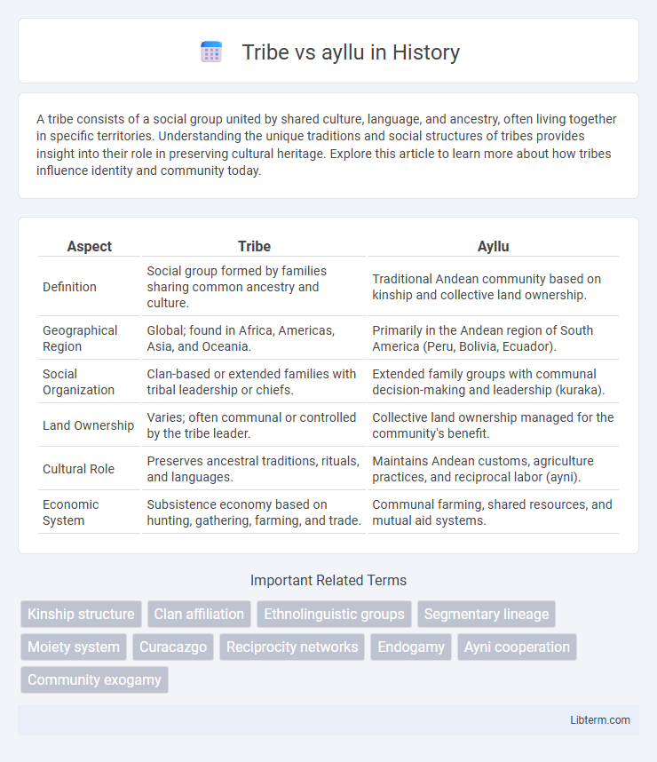ayllu vs Tribe in History - What is The Difference?