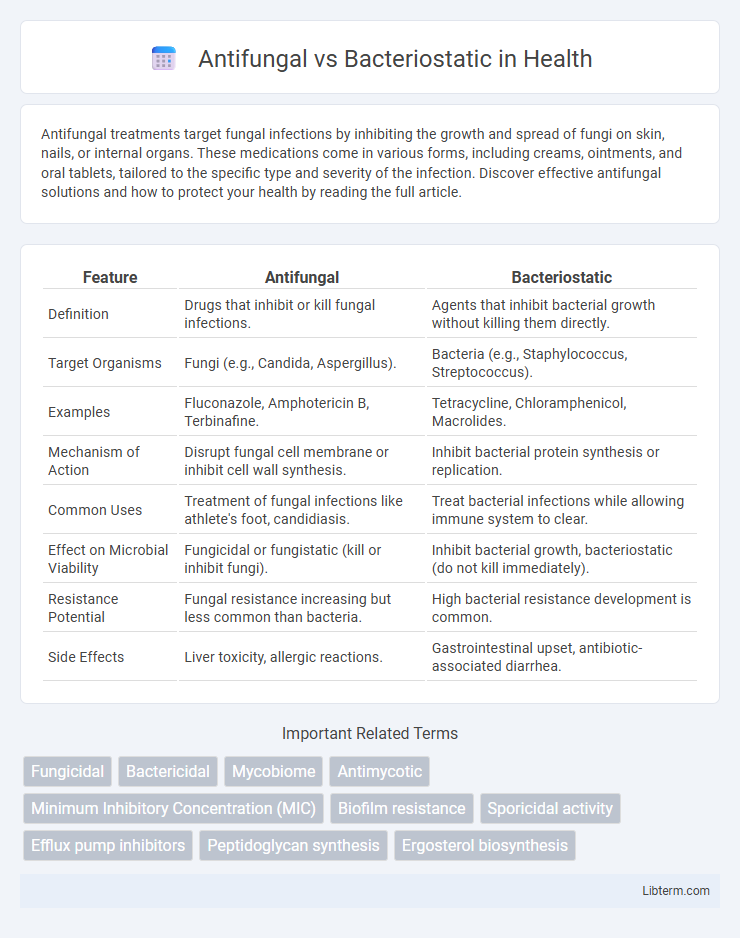 Bacteriostatic vs Antifungal in Health - What is The Difference?