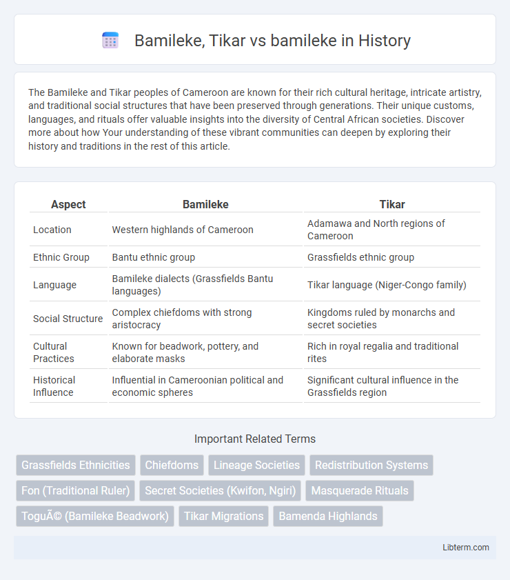 bamileke vs Bamileke, Tikar in History - What is The Difference?
