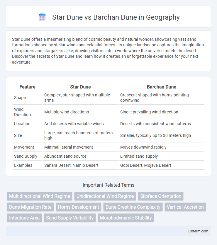 Barchan Dune vs Star Dune in Geography - What is The Difference?