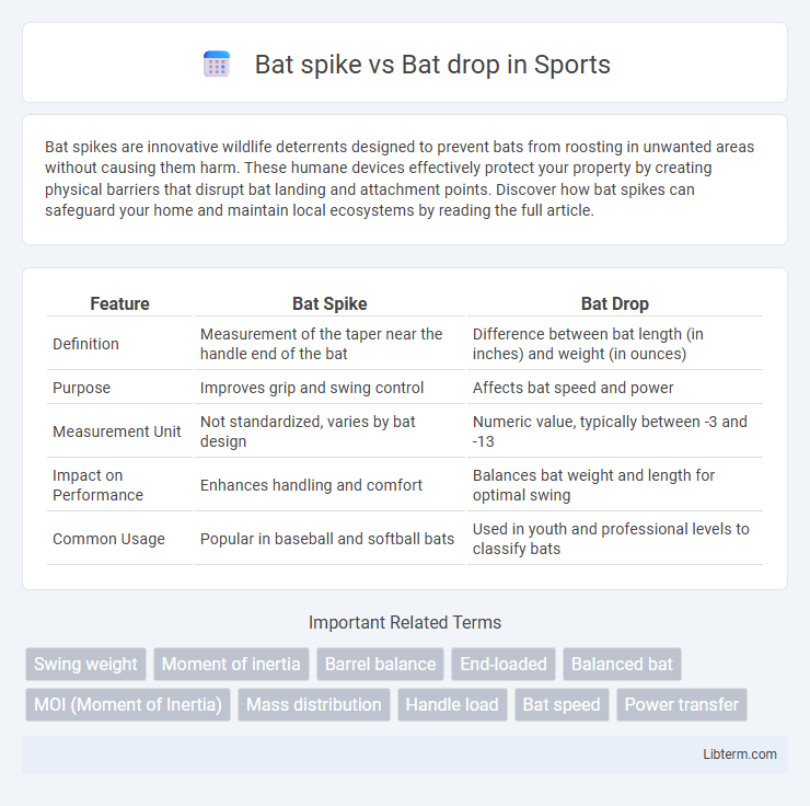 Bat drop vs Bat spike in Sports - What is The Difference?