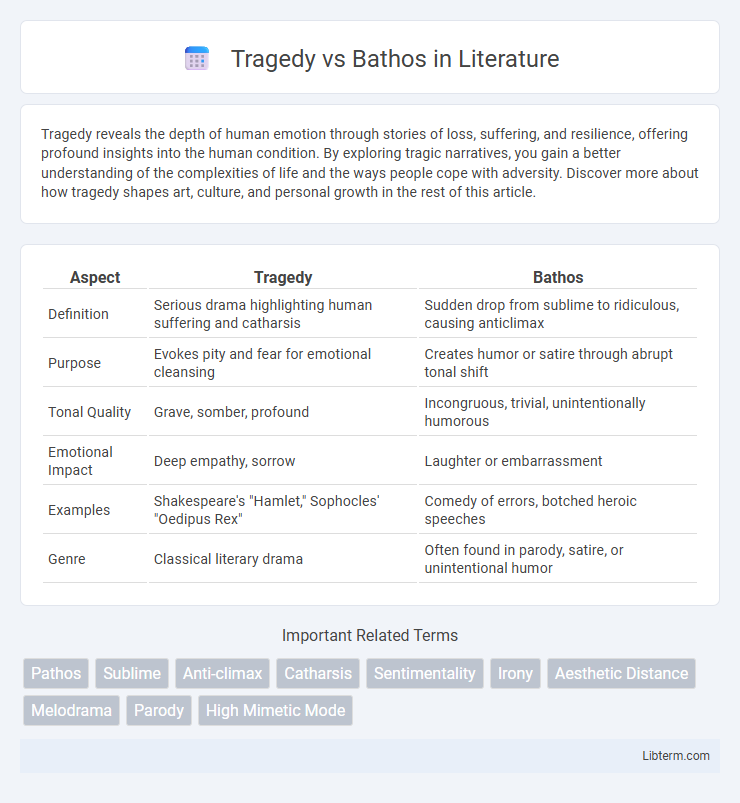 Bathos vs Tragedy in Literature - What is The Difference?