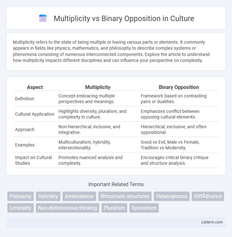 Binary Opposition vs Multiplicity in Culture - What is The Difference?