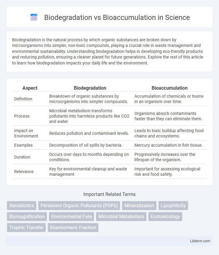 Bioaccumulation vs Biodegradation in Science - What is The Difference?