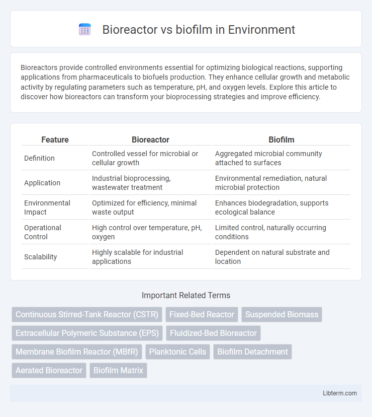 biofilm vs Bioreactor in Environment - What is The Difference?