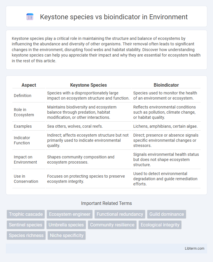 bioindicator vs Keystone species in Environment - What is The Difference?