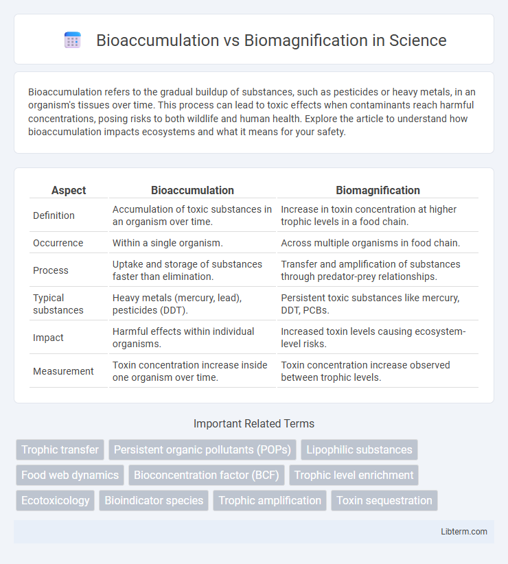 Biomagnification vs Bioaccumulation in Science - What is The Difference?