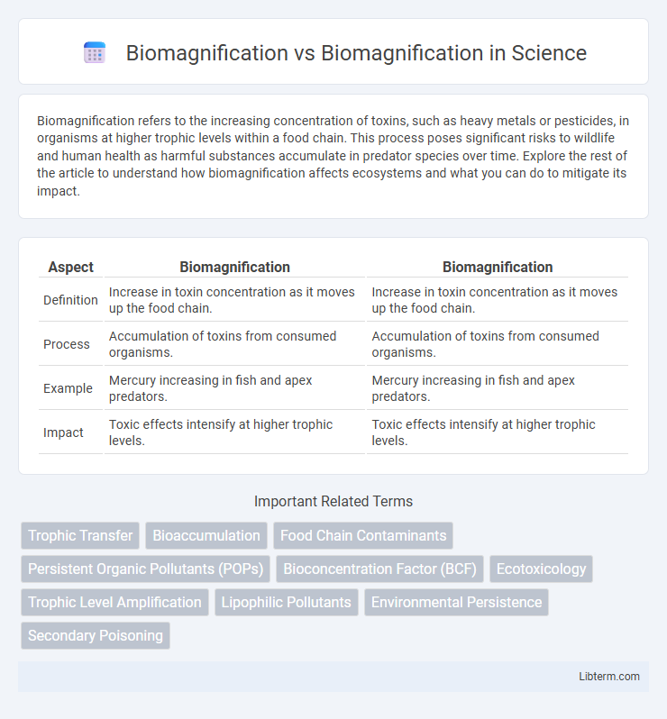 Biomagnification vs Biomagnification in Science - What is The Difference?