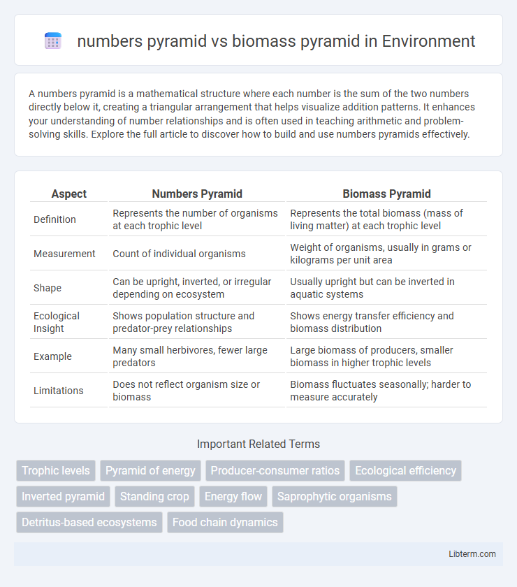 biomass pyramid vs numbers pyramid in Environment - What is The Difference?