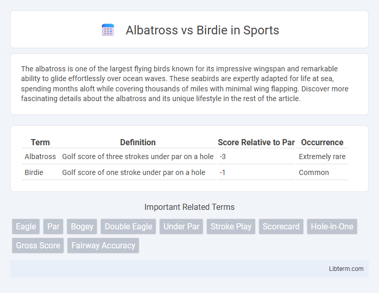 Birdie vs Albatross in Sports - What is The Difference?