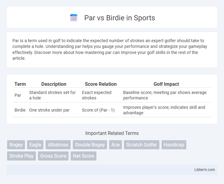 Birdie vs Par in Sports - What is The Difference?