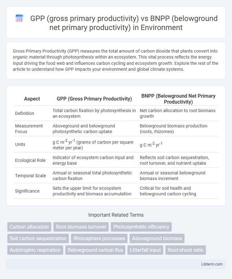 BNPP (belowground net primary productivity) vs GPP (gross primary productivity) in Environment - What is The Difference?